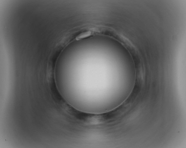 X0000113890513200909241420