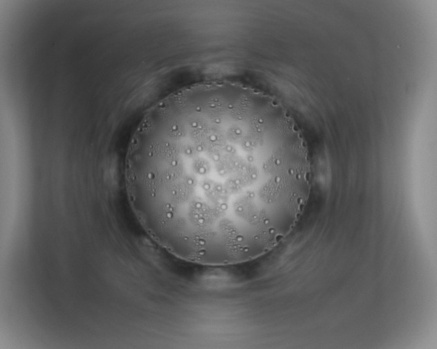 X0000113890519200909241420