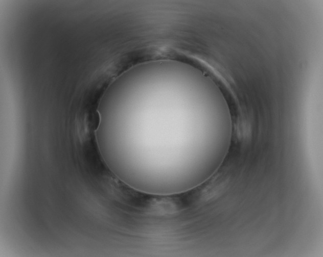 X0000113890520200909241420