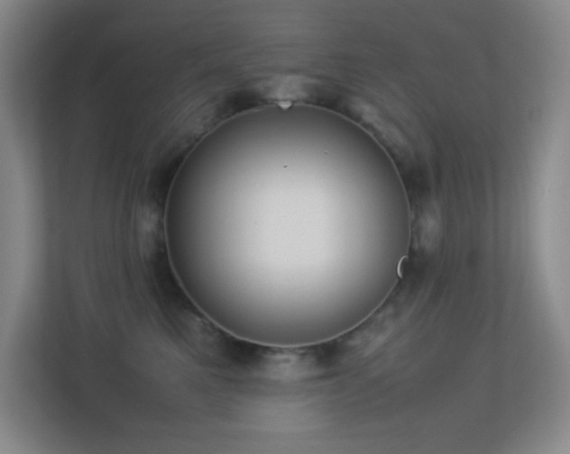 X0000113890521200909241419