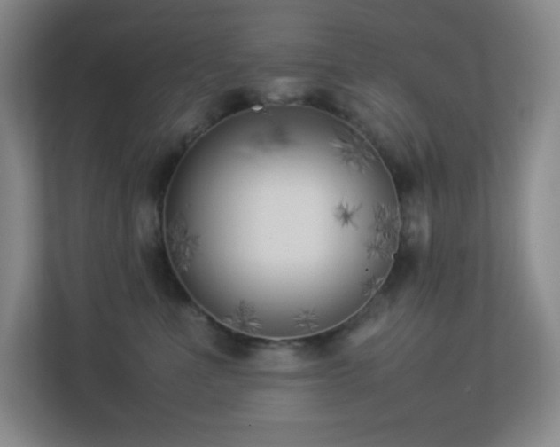 X0000113890523200909241419