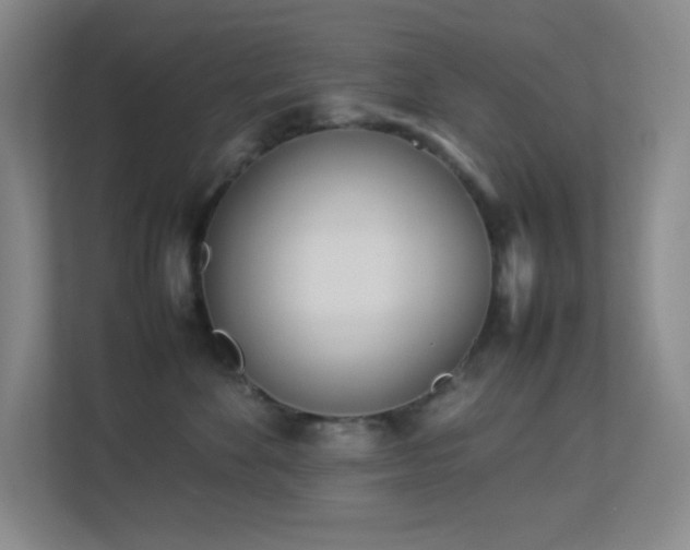 X0000113890524200909241419