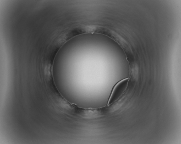 X0000113890525200909241419