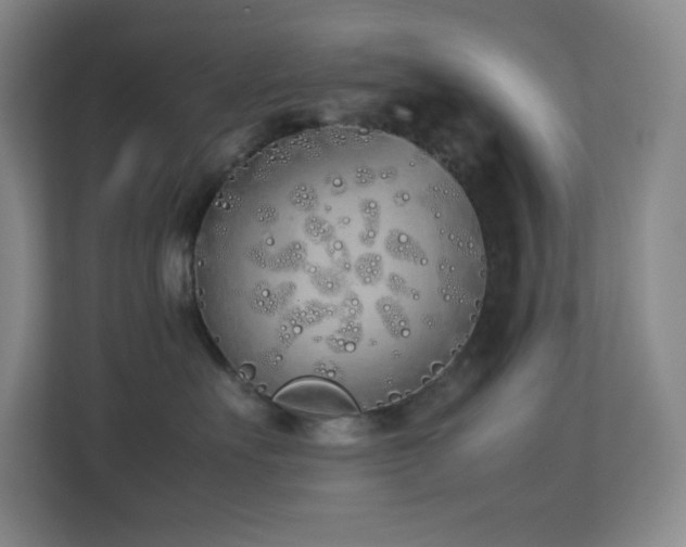 X0000113890527200909241419