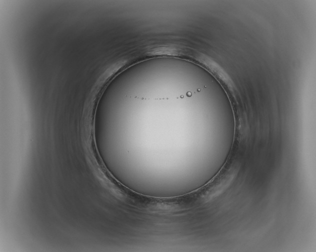 X0000113890529200909241419