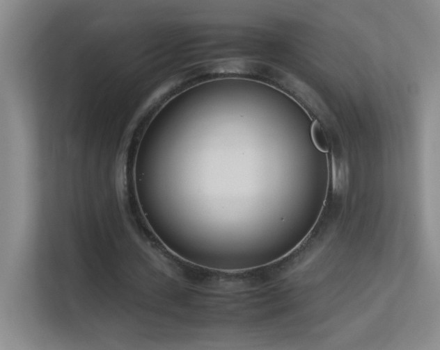 X0000113890531200909241419