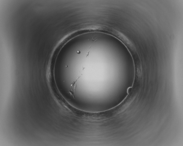 X0000113890532200909241419