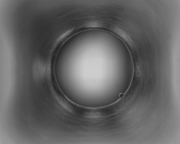 X0000113890535200909241419