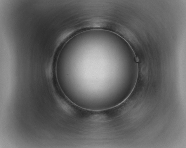 X0000113890536200909241419