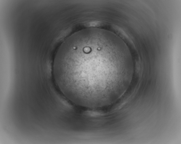 X0000113890545200909241419