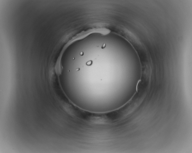 X0000113890548200909241419