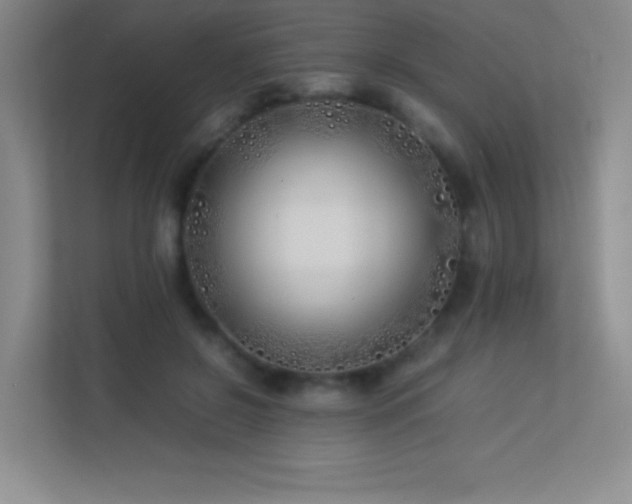 X0000113890550200909241419