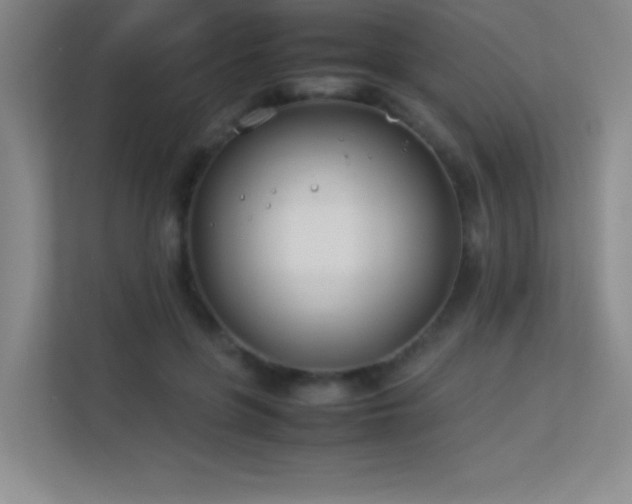 X0000113890551200909241419