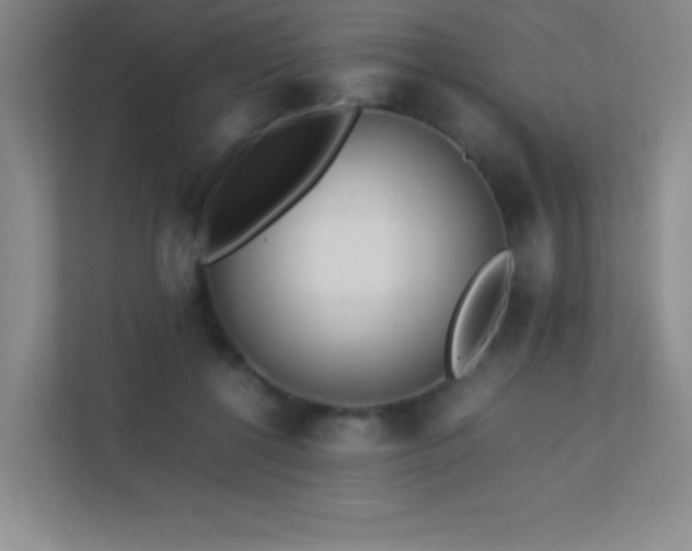 X0000113890552200909241419