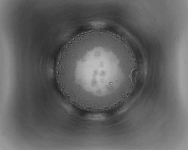X0000113890553200909241419