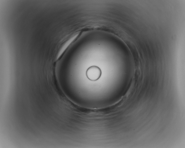 X0000113890556200909241419