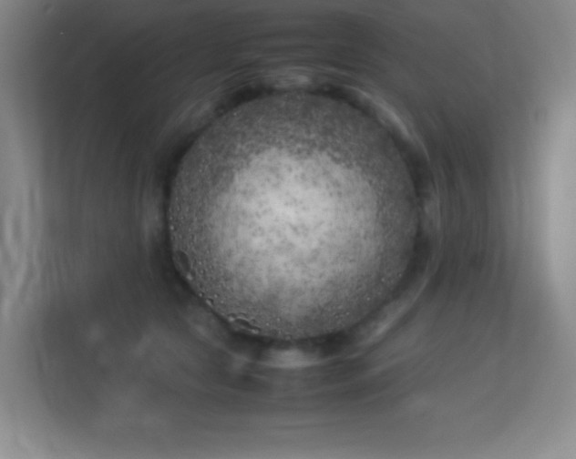 X0000113890561200909241419