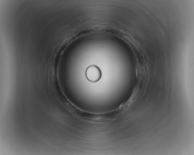 X0000113890564200909241419