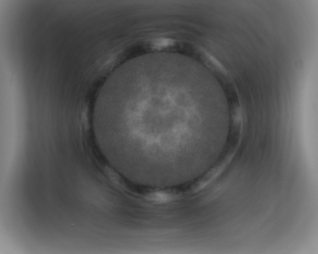 X0000113890565200909241419