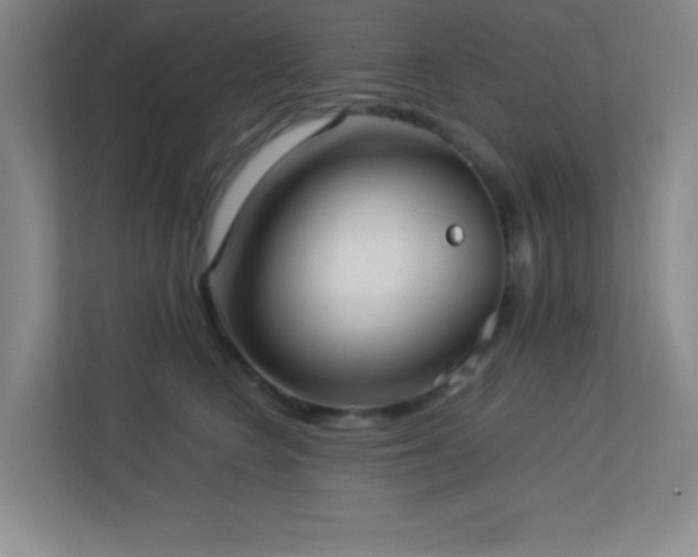 X0000113890566200909241419