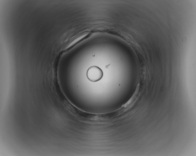 X0000113890568200909241419
