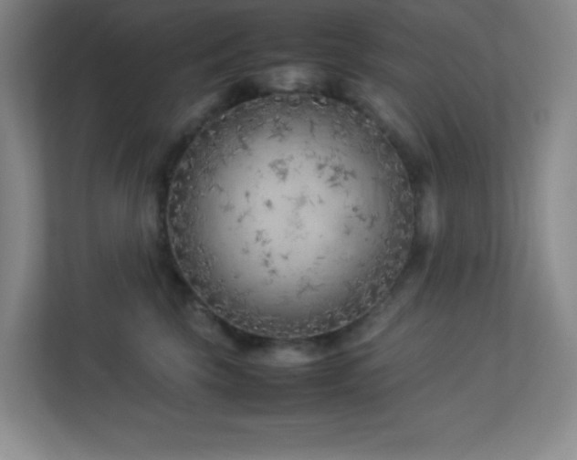 X0000113890569200909241419