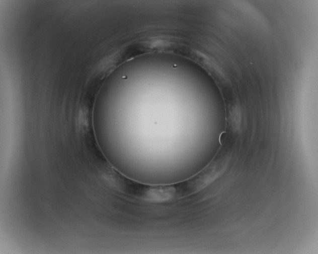 X0000113890571200909241419