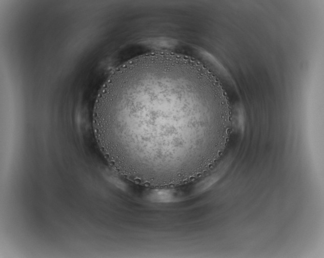 X0000113890573200909241419