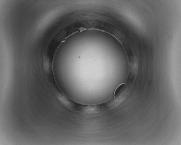 X0000113890574200909241419