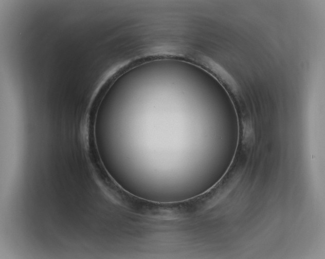 X0000113890580200909241419