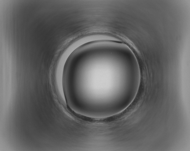 X0000113890581200909241419