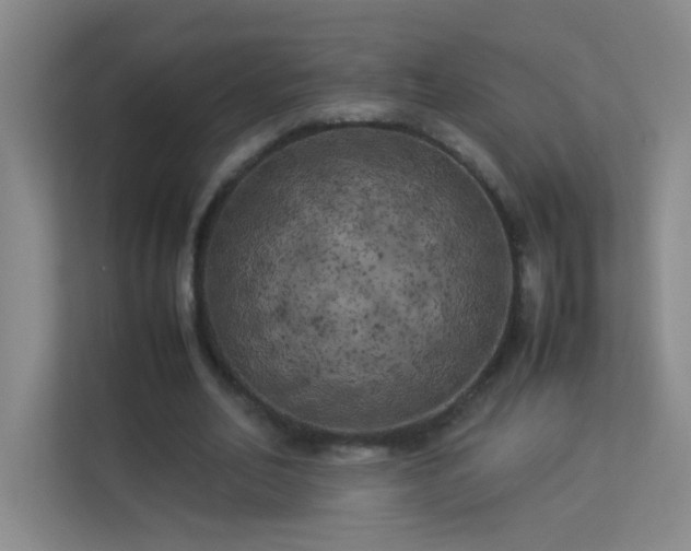 X0000113890582200909241419