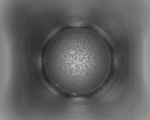 X0000113890586200909241419