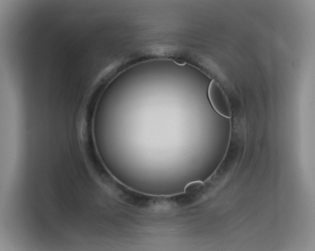 X0000113890587200909241419