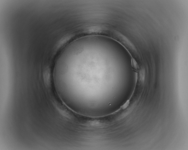 X0000113890588200909241419