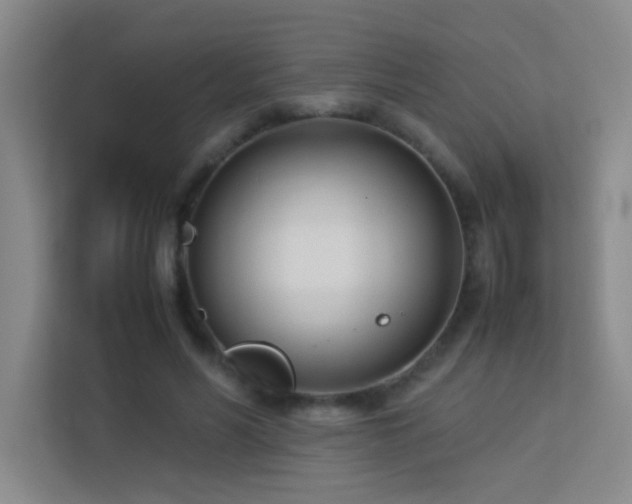 X0000113890590200909241419