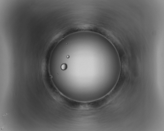X0000113890591200909241419