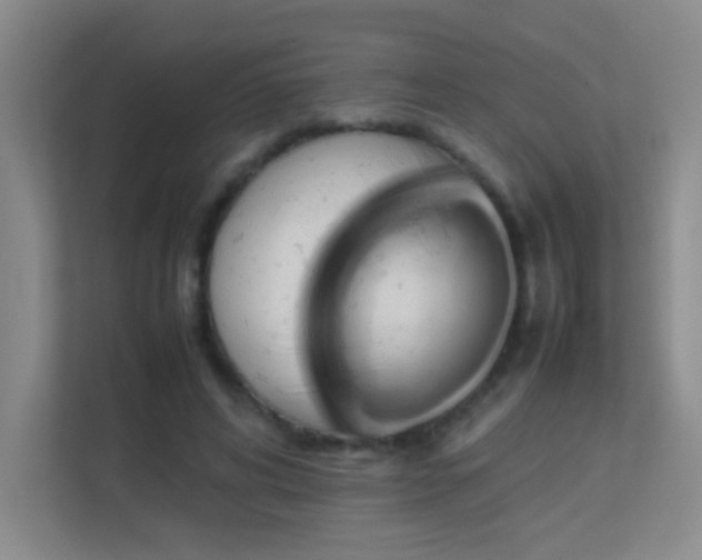 X0000113890592200909241419