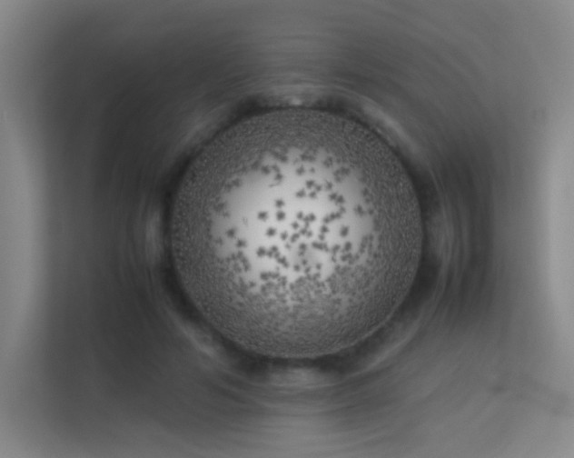 X0000113890594200909241419