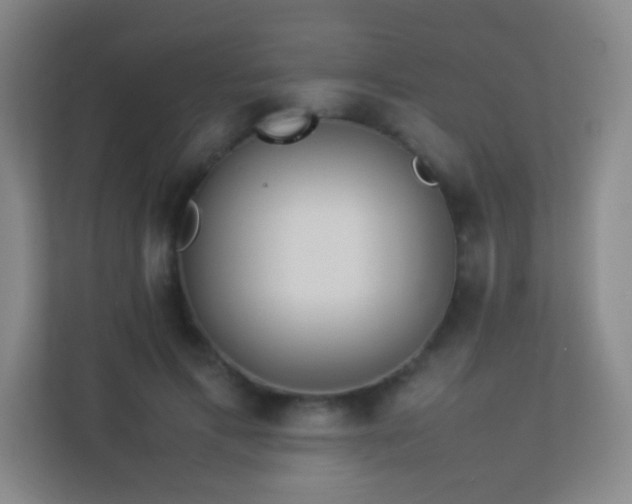 X0000113890597200909241419