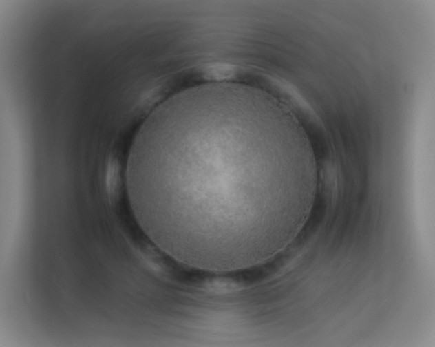 X0000113890598200909241418