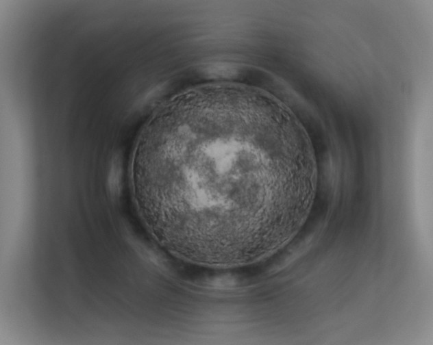 X0000113890600200909241418