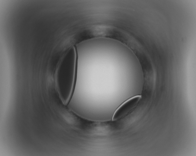 X0000113890601200909241418