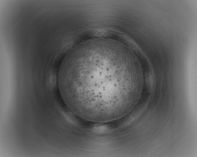 X0000113890602200909241418