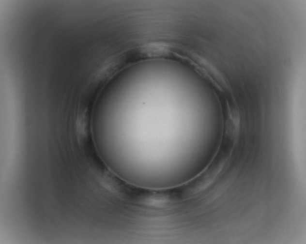 X0000113890604200909241418