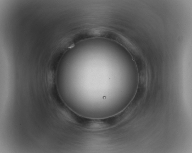 X0000113890605200909241418