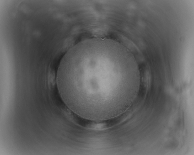 X0000113890610200909241418