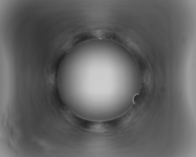 X0000113890611200909241418