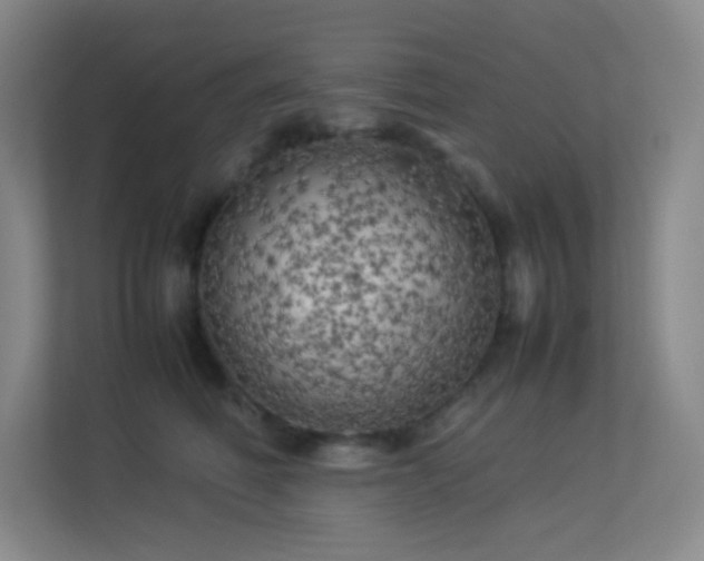 X0000113890614200909241418