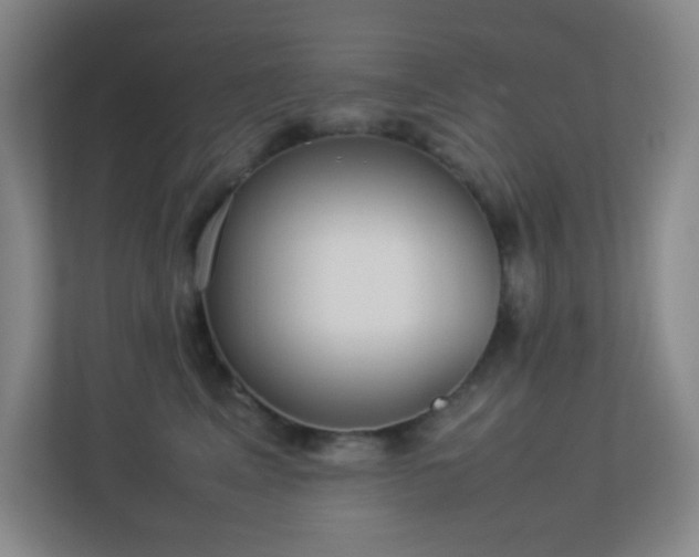 X0000113890617200909241418